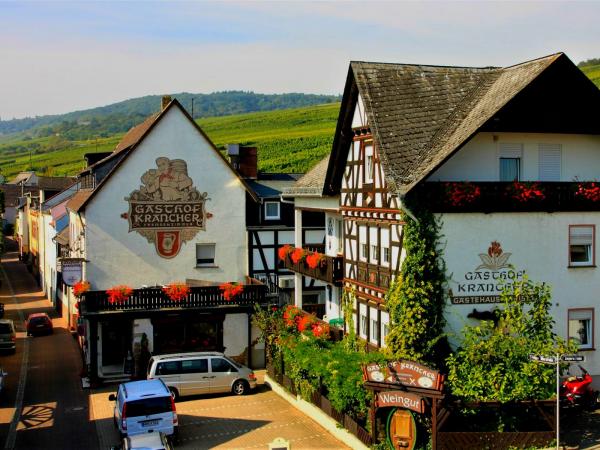 Hotelbild mit den Weinbergen im Hintergrund